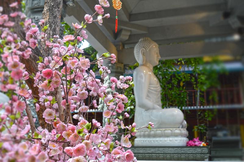 Buddhist - Gangaramaya Temple - Colombo, Sri-Lanka