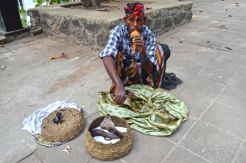 Snake Charmer, Part of a Rip Off - Colombo, Sri Lanka